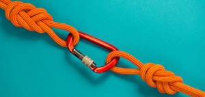 Digitale Resilienz: Cybersecurity und Nachhaltigkeit