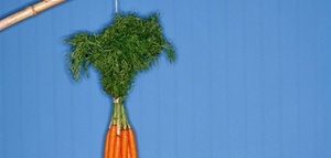 Vergütung und Gestaltung von Anreizsystemen: Die Trends 2017