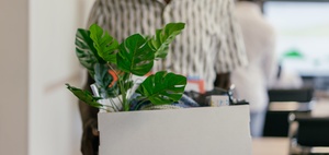 Nachhaltigkeit in Stellenanzeigen: Ein Satz, große Wirkung