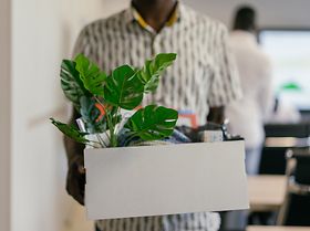 Karton Pflanze Kollege