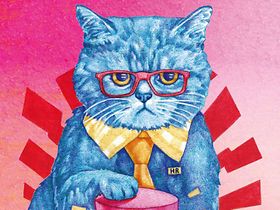 Katze