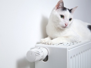 BGH: Zehn Jahre Wärmelieferungsvertrag sind zu lang