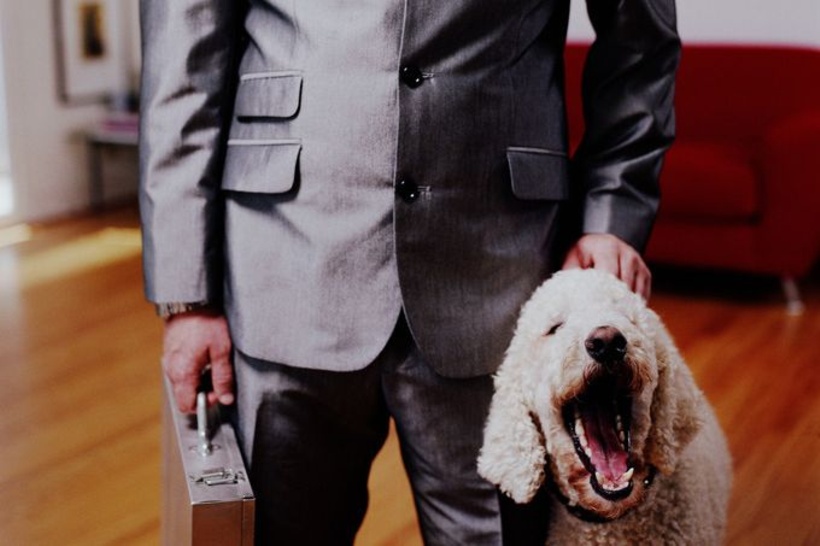 These 1: Kennst Du die Menschen, dann liebst Du die Tiere