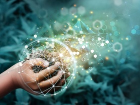 KI und Nachhaltigkeit