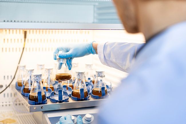 Antikörper aus Kieselalgen: Für Phaeosynt ist Nachhaltigkeit kein Kompromiss