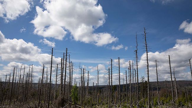 Biodiversität ist laut Bundesbank eine "knallharte ökonomische Kennzahl"