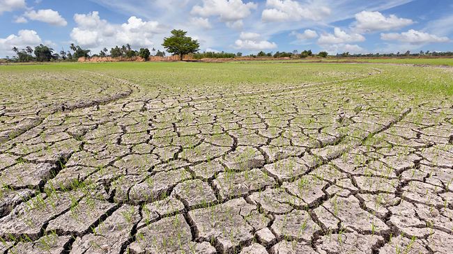 Neue Plattform soll Unternehmen bei der Klimaanpassung zusammenbringen
