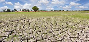 Klimaanpassung Plattform "Adaptation Exchange"