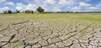 Klimafolgen_Trockenes Feld