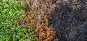 Adaptation Sweet Spot