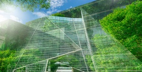 Klimaschutz Bürogebäude CO2-Reduzierung Baum Glas