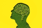 Flowers petals and leaves forming brain shape inside male's head silhouette made out of grass on yel