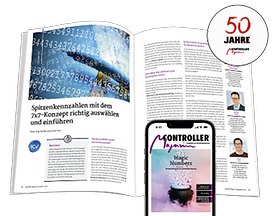 KPI-Auswahl Controlling WP