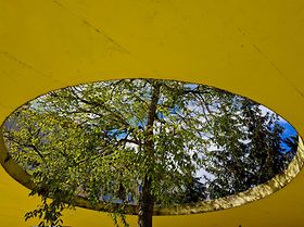 Kreis Baum Architektur