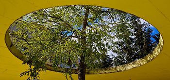 Kreis Baum Architektur