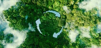 Kreislaufwirtschaft Circular Economy Wald Pfeile