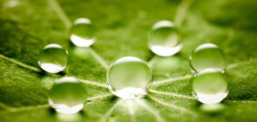 Kreislaufwirtschaft_Wasserzyklus Ressourcen