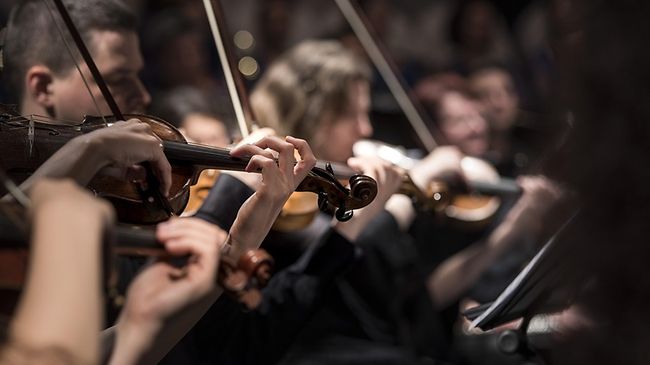 Künstler Musiker Orchester