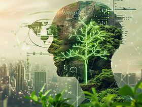 Künstliche Intelligenz Nachhaltigkeit Daten