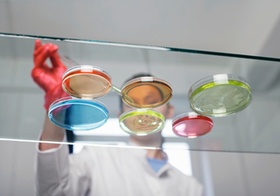 Laborant mit Petrischalen