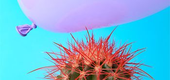 Lila Ballon Kaktus