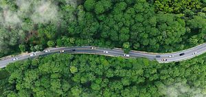 Luftaufnahame strasse durch wald