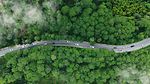 Luftaufnahame strasse durch wald