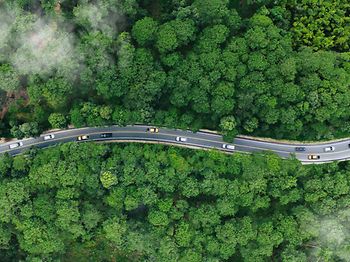 Luftaufnahame strasse durch wald
