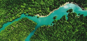 Venture Capital: Warum Hausverwaltungen Investoren anziehen