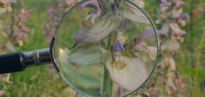 Digitales Lernen barrierefrei gestalten