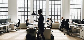 Männer und Frauen Arbeitskollegen arbeiten