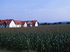 Maisfeld