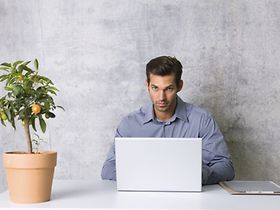 Mann sitzt in Büro an Laptop, Orangenbäumchen auf Tisch