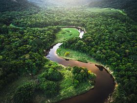 Mata Atlantica - Atlantischer Regenwald in Brasilien