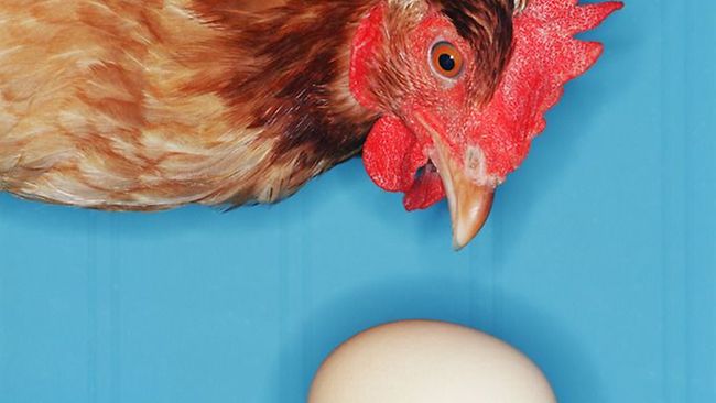 Mathematisches Denken: Das Huhn und das Ei