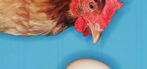 Mathematisches Denken: Das Huhn und das Ei