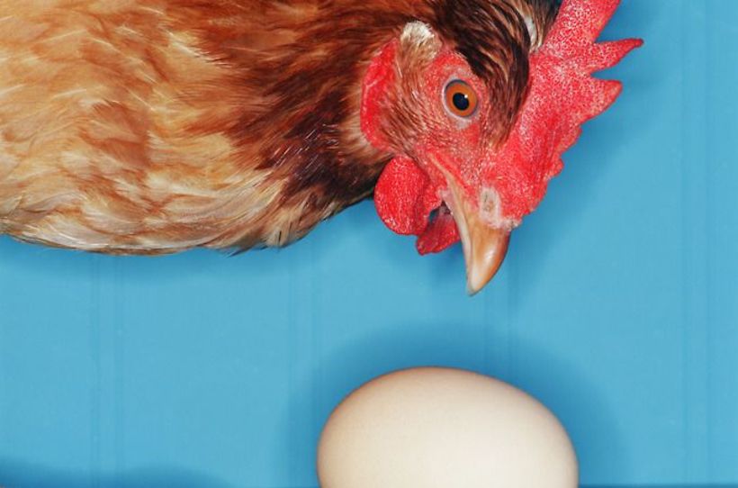 Mathematisches Denken: Das Huhn und das Ei