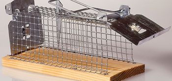 Mausefalle mit Kaefig