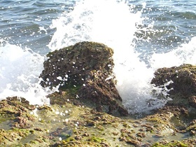 Meer_Wellen_Schwarzes Meer_Türkei