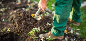 Nachhaltigkeit in der Praxis: Auf zur torffreien Gartenerde