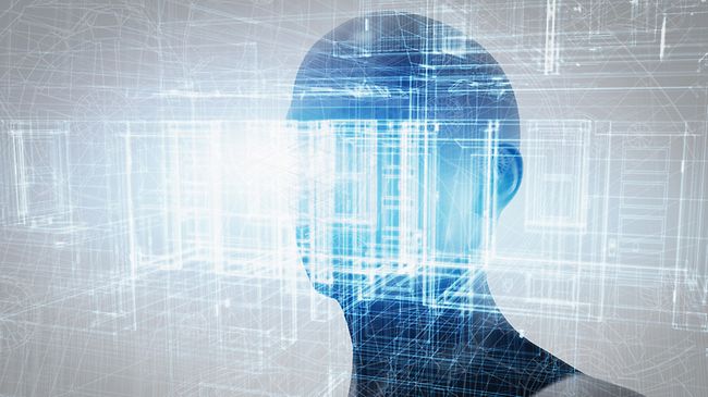 Mensch und Cyberspace