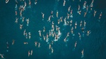 Menschen schwimmen im Meer