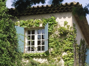 Hausfassade mit hellblauen Fensterläden und Efeu-Bewuchs
