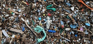 Weltfrauentag 2025: Verbundenheit statt Spaltung