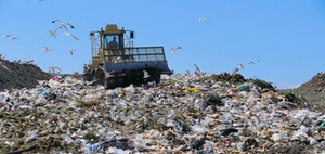 Zero Waste: In drei Schritten zur Kreislaufwirtschaft