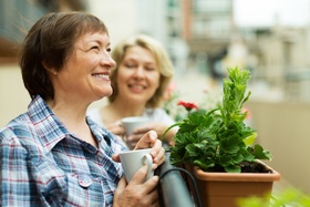 Two mature housewives enjoying tea at terrace with decorative plants