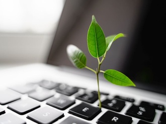 Nachhaltigkeit Laptop Pflanze Tastatur