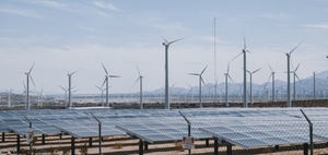 Nachhaltigkeitsthemen in Krisenzeiten