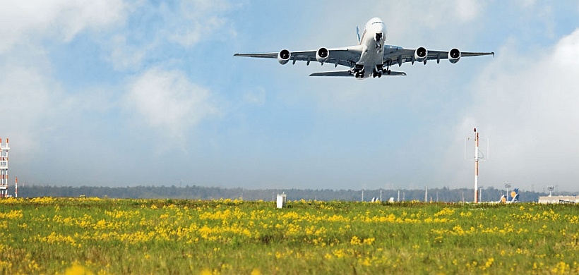 Natur auf 600 Hektar am Frankfurter Flughafen