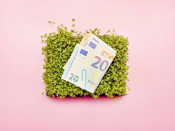 Natur Umwelt Geld